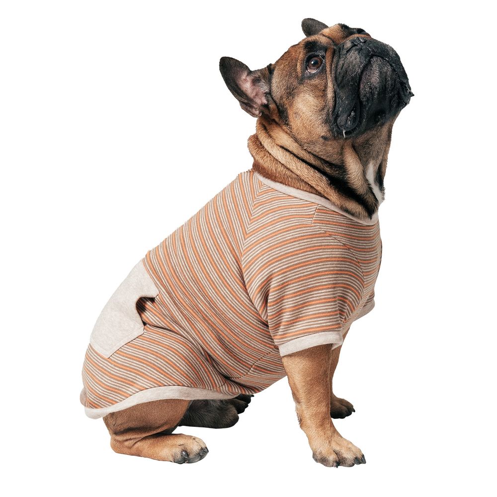 Chaqueta Perro