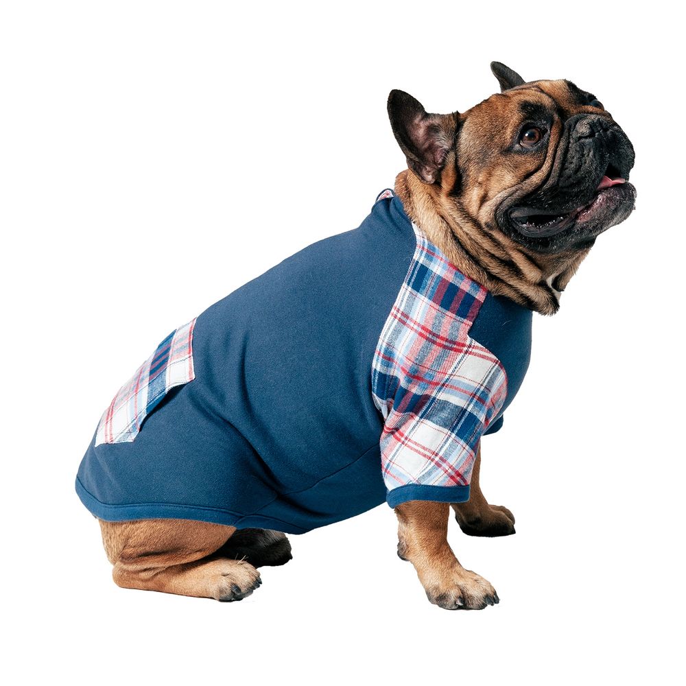 Chaqueta Perro